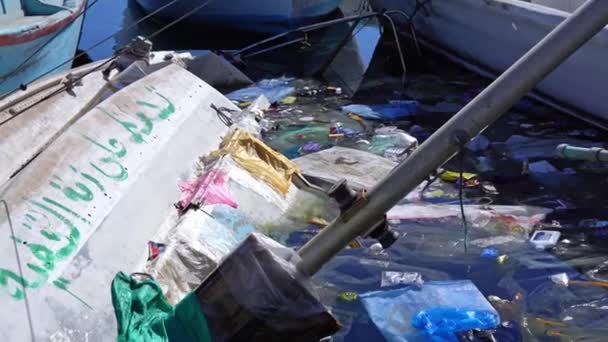 Sampah laut dalam air yang tercemar. Tempat sampah dan plastik di pelabuhan — Stok Video