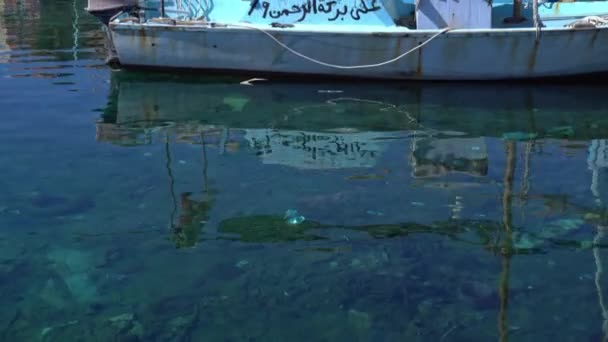 Sea garbage in polluted water. Trash and plastic in the Egyptian harbor — Video Stock