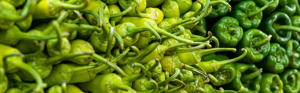 Grüne Paprika Lebensmittel Hintergrund — Stockfoto