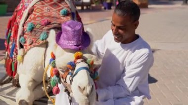 Turistik bir bölgede deveyi öpen bir Arap..