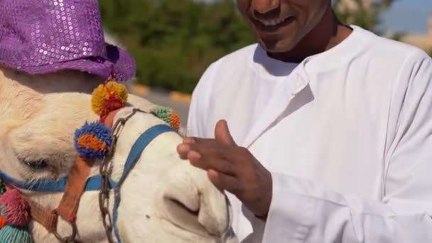 ラクダの銃口を突いたアラブ人 — ストック動画