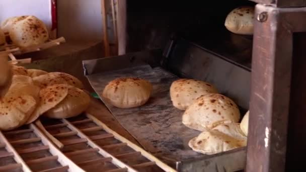 이집트의 빵아 기스 발 라디 — 비디오