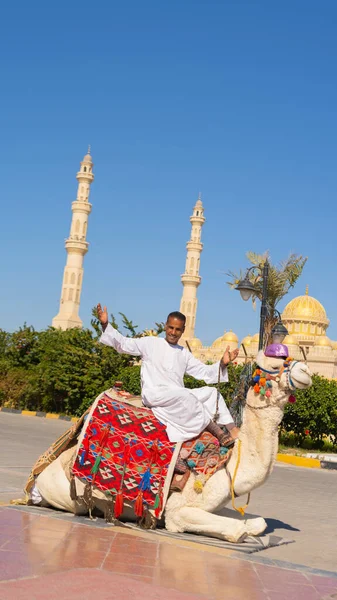 Un Arabe assis sur un chameau contre la mosquée — Photo