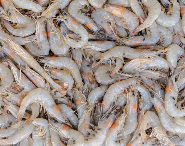 Fresh shrimps pattern in seafood market Stock Image