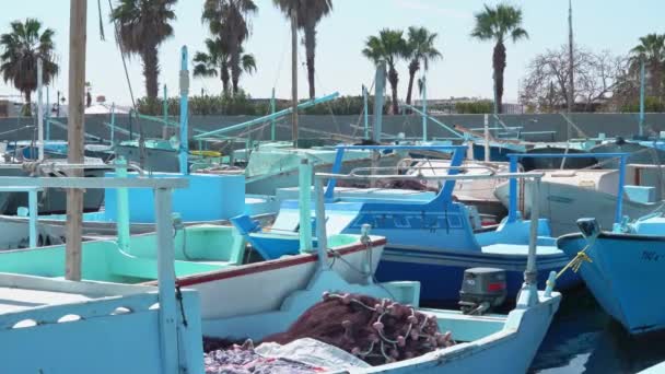 이집트 항구에 많은 어선들이 있다 — 비디오