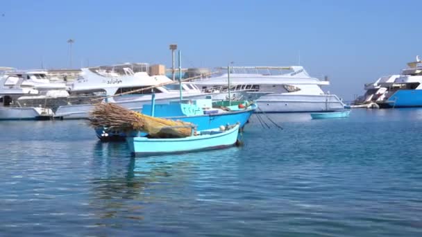 이집트 항구에 있는 청어 잡이 배 — 비디오