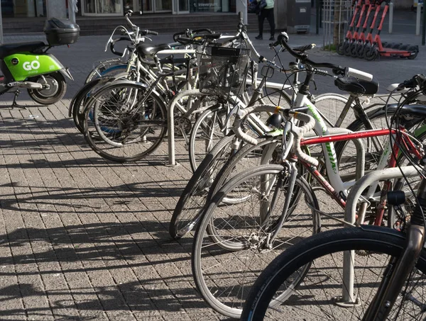 Brüksel 'in merkezindeki caddede bisikletler