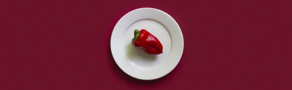 Red bell pepper on white plate on the red background. — Foto Stock