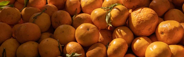 Čerstvé mandarinky pozadí — Stock fotografie