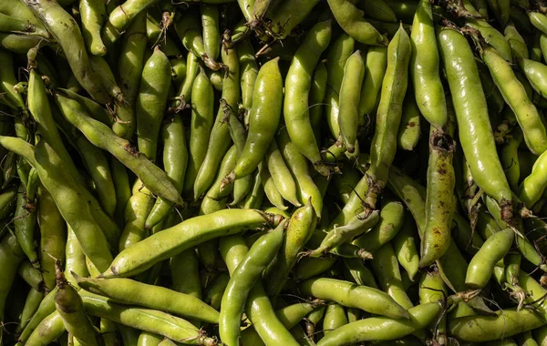 Fave verdi cibo sfondo — Foto Stock