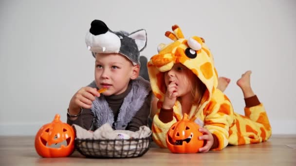Glückliche Kinder Wolf Und Giraffenkostüm Essen Halloween Bonbons Aus Einem — Stockvideo