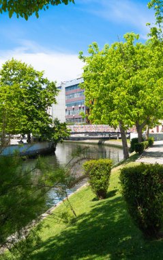 Aveiro şehrindeki yeşil park bölgesinde dolgu.
