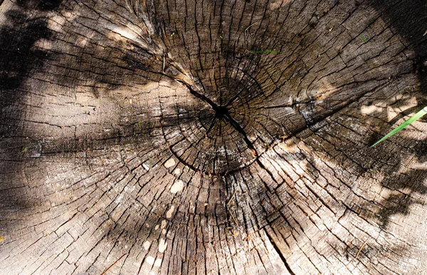 Деревянный Рисунок Фона Ремесел Абстрактной Текстуры Искусства Деревянный Выветриваемый Фон — стоковое фото