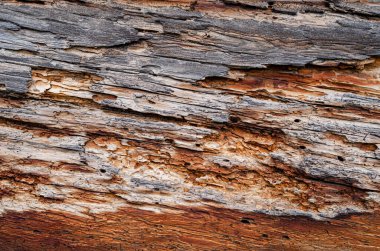 Sanatçılar için ahşap arka plan şablonu veya soyut sanat dokusu ahşap eskimiş arka plan gri eski tahta kesme tahtaları gri tahta eski panel el sanatları veya soyut sanat için güzel desen