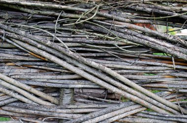 Ağaç dallarından yapılmış çitler ormandaki ağaç gövdesini kapatmak çit çitleri dikleştiren ince dallar, eko dostu eskrim.