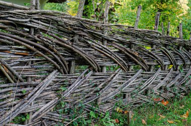 Ağaç dallarından yapılmış çitler ormandaki ağaç gövdesini kapatmak çit çitleri dikleştiren ince dallar, eko dostu eskrim.