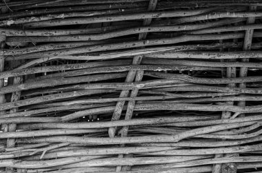 Ağaç dallarından yapılmış çitler ormandaki ağaç gövdesini kapatmak çit çitleri dikleştiren ince dallar, eko dostu eskrim.