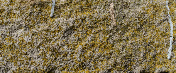 Old Weathered Natural Stone Textur — Fotografia de Stock