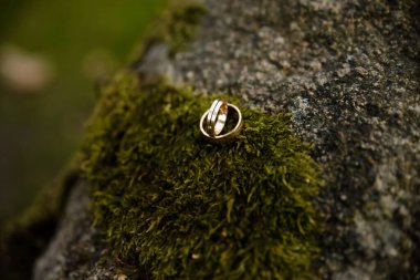 Zeminde, yerde, piyanoda, elde kontrastlı evlilik yüzükleri olan iki alyans.