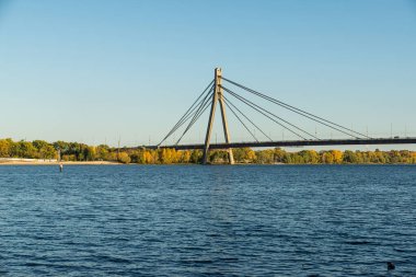 Nehrin üzerindeki yeşil orman nehir köprüsüne köprü ördekler, mavi nehir suyu.