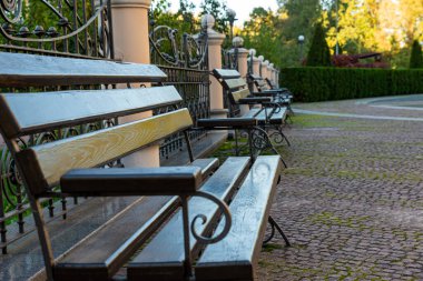 Yazın ağaçlarla dolu sessiz bir parkta ahşap romantik bir bank