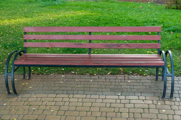 Banco Romântico Madeira Parque Tranquilo Verão Com Árvores — Fotografia de Stock