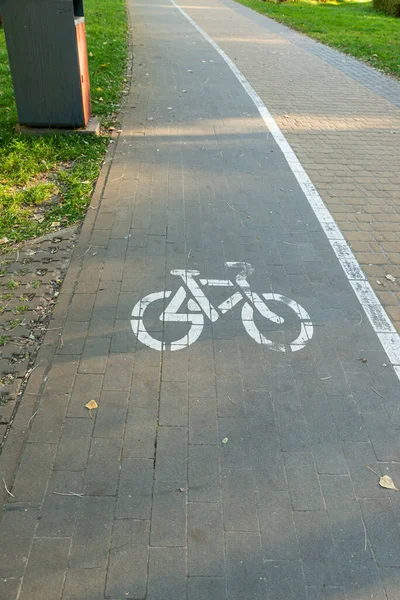 Separate Bicycle Lane Riding Bicycles White Painted Bike Asphalt Ride — Stock Photo, Image