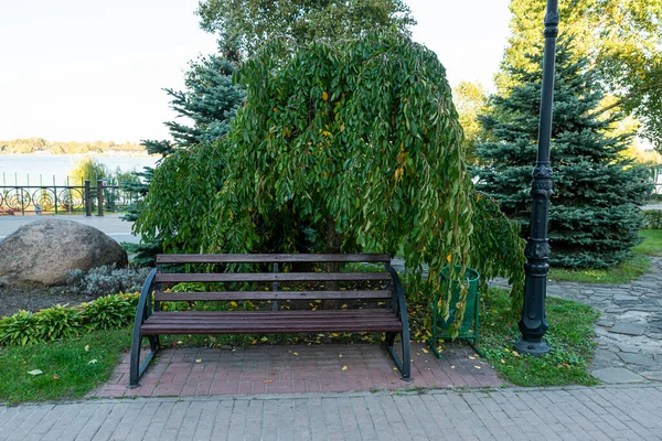 Houten Romantische Bank Een Rustig Park Zomer Met Bomen — Stockfoto