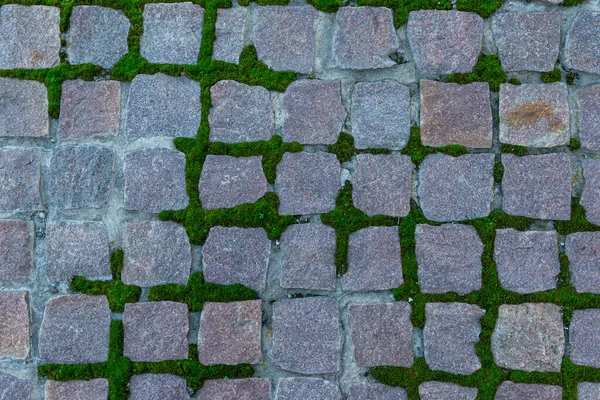 Pflastersteine Mit Moos Wachsen Zwischen Steinen Sonnenlicht Mit Schatten Park — Stockfoto