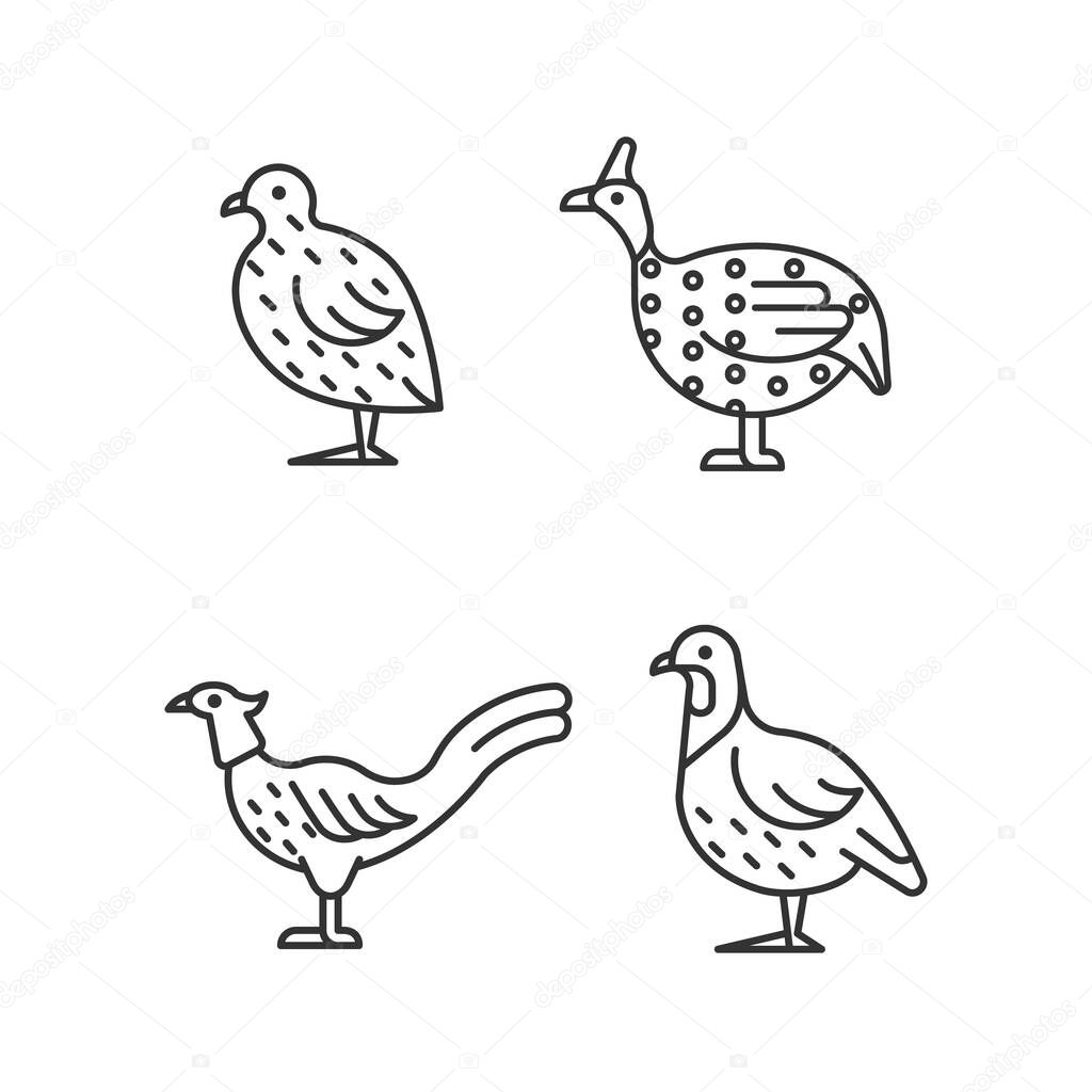 Landfowl linear icons set. Japanese quail. Pheasant family. Guinea fowl. Commercial poultry farming. Customizable thin line contour symbols. Isolated vector outline illustrations. Editable stroke