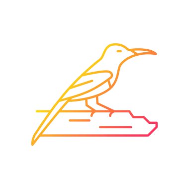 Kızıl güneş kuşu gradyan doğrusal vektör simgesi. Tropikal Asya kuşu. Singapur ulusal sembolü. İkametgah sahibi. İnce çizgi renk sembolü. Modern tarz pictogram. Vektör izole çizimi