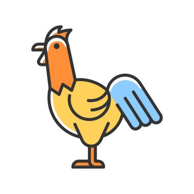 Horoz RGB renk simgesi. Horoz çobanlığı. Ticari tavuk yetiştirme. Çiftlik hayvanları endüstrisi büyüyor. Evcil kara kuşları. Genç horoz. İzole vektör çizimi. Basit doldurulmuş çizgi çizimi