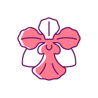 Vanda Bayan Joaquim RGB renk simgesi. Singapur ulusal çiçeği. Melez ekin. Singapur orkidesi. Yelpaze şeklinde çiçek kümesi. Orkide bahçesi. İzole vektör çizimi. Basit doldurulmuş çizgi çizimi