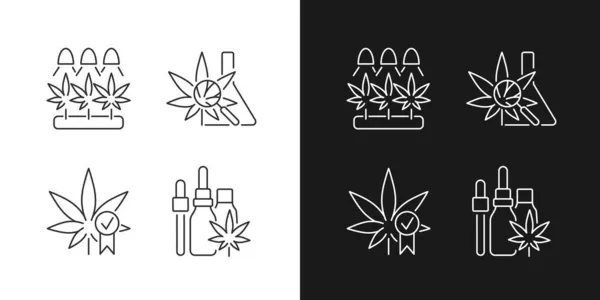 Icone Lineari Coltivazione Cannabis Impostate Modalità Dark Light Ricerca Medica — Vettoriale Stock