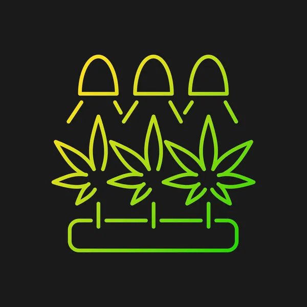 Cannabis Anbau Gradientenvektorsymbol Für Dunkles Thema Unter Künstlichem Licht Kräuter — Stockvektor