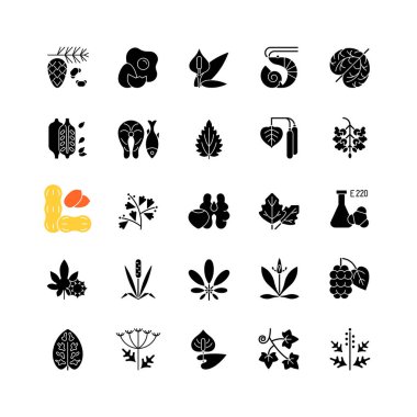 Alerji, beyaz uzayda siyah kabartma simgelerine neden olur. Kraliçe Anne danteli. Timothy otu. Kavak ağacı poleni. İngiliz muzu. Susam tohumları. Siluet sembolleri. Vektör izole illüstrasyonu