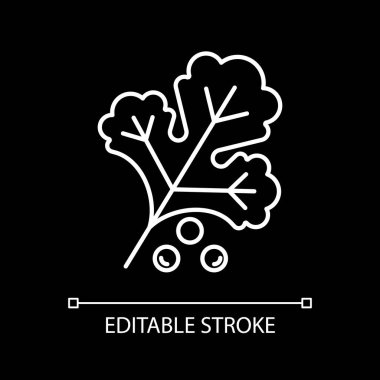 Plant leaf white linear icon for dark theme. Kale for salad. Herbal ingredient for healthy eating. Thin line customizable illustration. Isolated vector contour symbol for night mode. Editable stroke