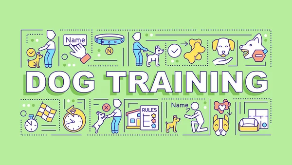 Köpek eğitim kelimesi yeşil bayrak kavramını içeriyor