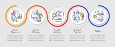 Köpeği hastalık döngüsü bilgi şablonundan korumak
