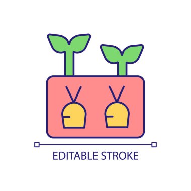 Havuç yetiştirme RGB renk ikonu. Sebze ekiyorum. Tarım ve tarım. Bahçecilik pratiği. İzole vektör çizimi. Basit bir çizgi çizimi. Düzenlenebilir felç. Kullanılan Arial yazı tipi