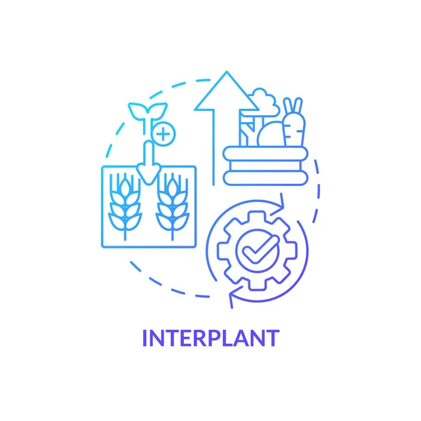 Interplant Blue Gradient Concept Icon Plant Multiple Cultures Increasing Farming — Vector de stock