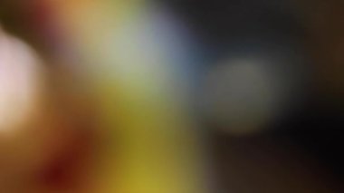 Çoklu Renkli Bokeh Işık Sızıntısı Karışımı