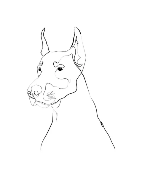 Doberman Line Art Portrait Digital Drawing Personalized Dog Name Customized — 스톡 벡터