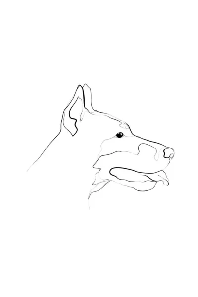 Dobermann Profile Doberman Line Art Portrait Digital Draving Personalized Dog — 스톡 벡터