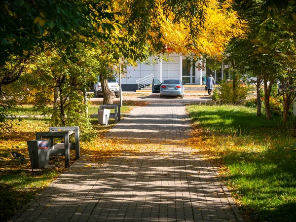 ロシアのエンゲルス2021年10月5日 秋の倒木のある小さな路地が木の1つから葉を出します ロシアの地方都市の秋 — ストック写真