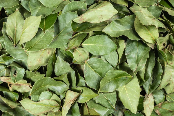 Épices Pour Cuisine Feuilles Laurier Séchées Près Vue Sur Dessus — Photo