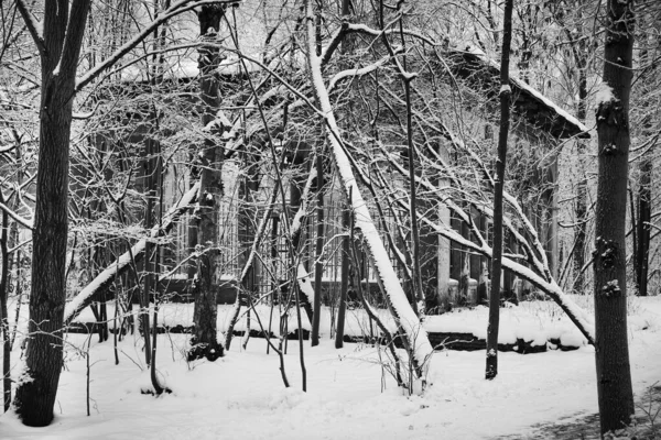 Ett Förfallet Gammalt Hus Vinterpark Bland Snötäckta Träd — Stockfoto