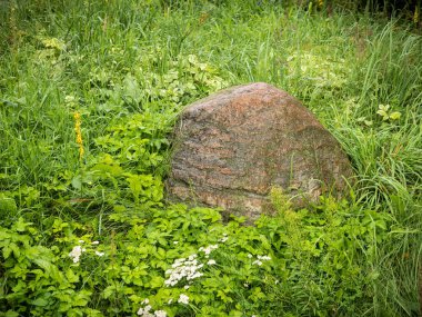 Yağmurdan sonra yeşil çimlerde büyük granit kaya
