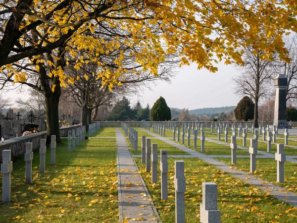 Cementerio militar polaco Cmentarz o nierzy Bitwy nad Bzur en Sochachew, Polonia — Foto de Stock