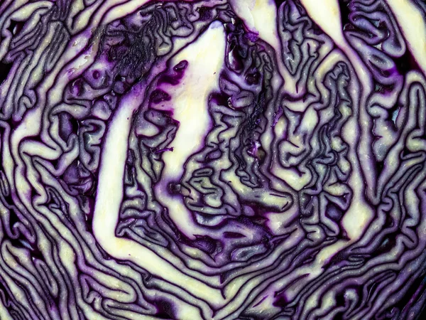 Texture of pink red cabbage cut in half close up — Zdjęcie stockowe